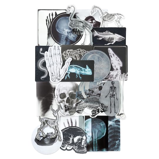 Halloween Bones & X-Rays Die Cut Ephemera by Recollections™